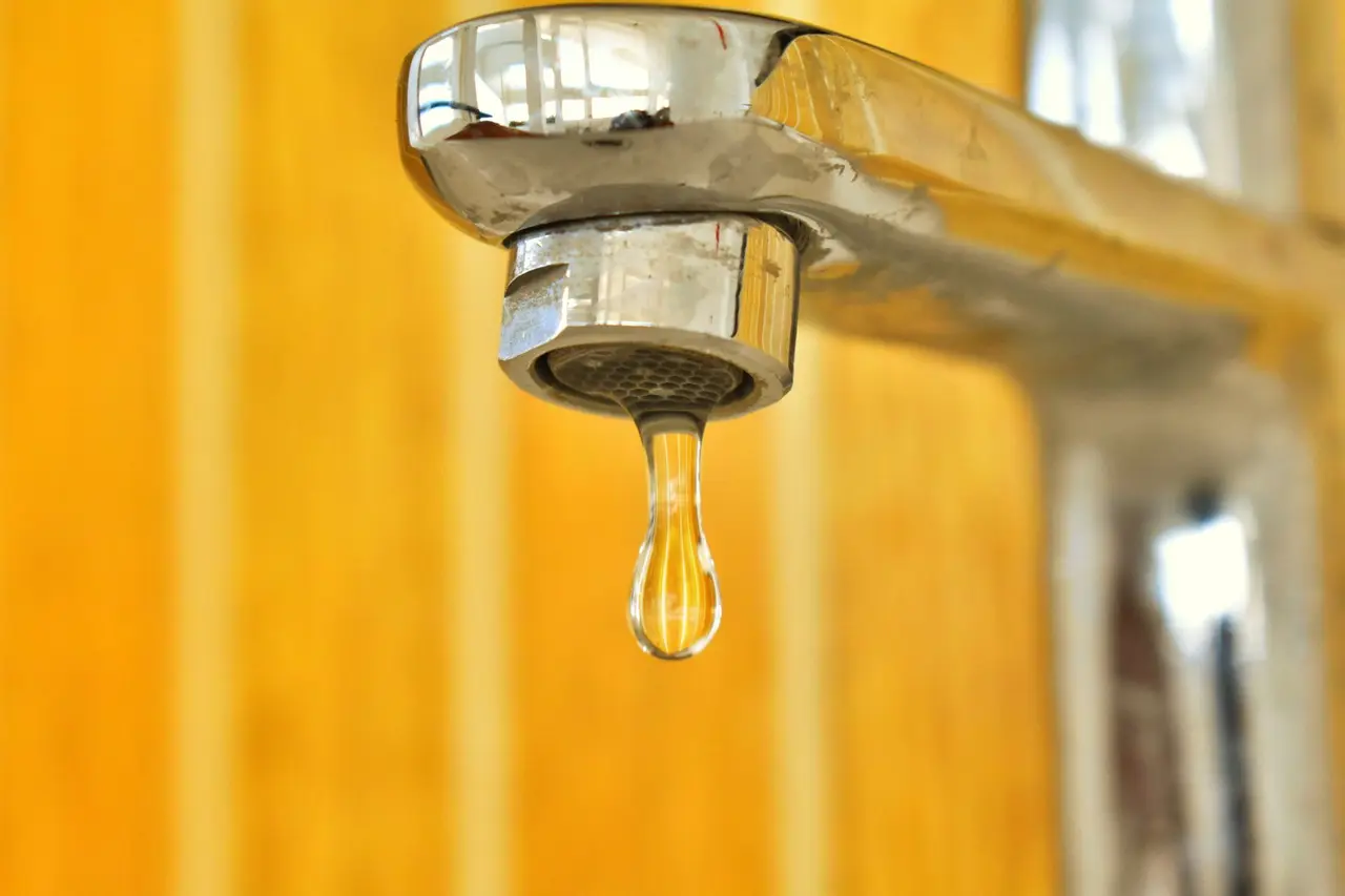 Emergency Leak Detection Services in Hackett